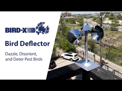 Bird Deflector: Spinning Visual Bird Deterrent