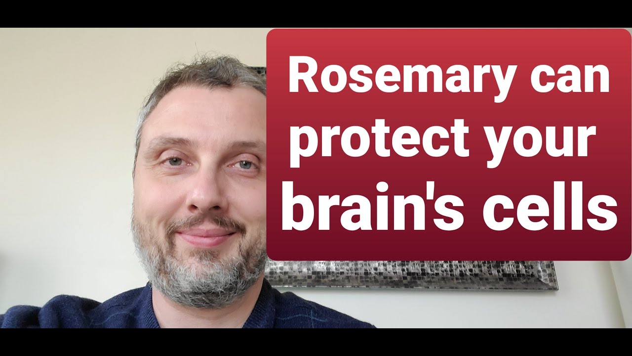 Rosemary can protect your Brain / What are the benefits of Rosemary