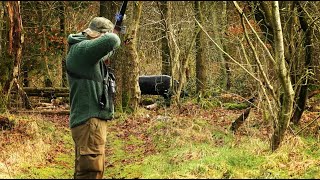 3D shoot in Vejen Denmark - Traditional Archery - 3D archery - Outdoor Life - Archery practice screenshot 5