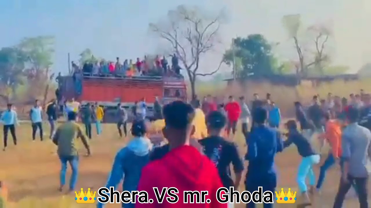 Shera VS mr. Ghoda bull fight video|| 👑Win 🏆Shera