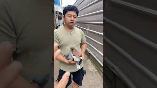 Merpati cidera #merpati #pigeon #birds
