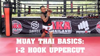 Muay Thai Basics 1-2 Uppercut Combo - Aka Techniques