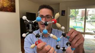 Biochemistry Literacy for Kids Custom Molymod Model Kit