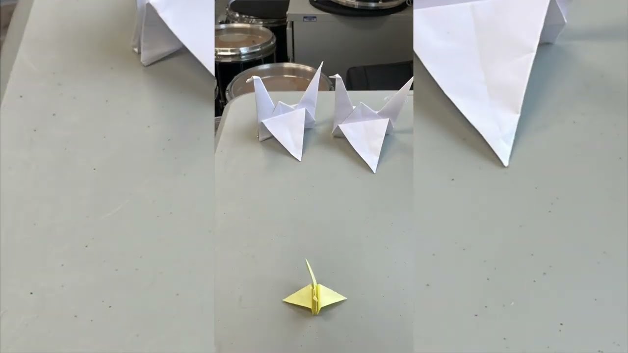Life Cycle of a Swan Group 6 (Stop Motion) Fall '22