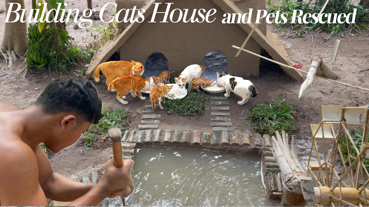 Build a MUD CAT HOUSE for Rescued Kitty | Swimming Pool Building For Cats Rescues #animals #youtube