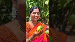 #alphonso #fruit #mangoes