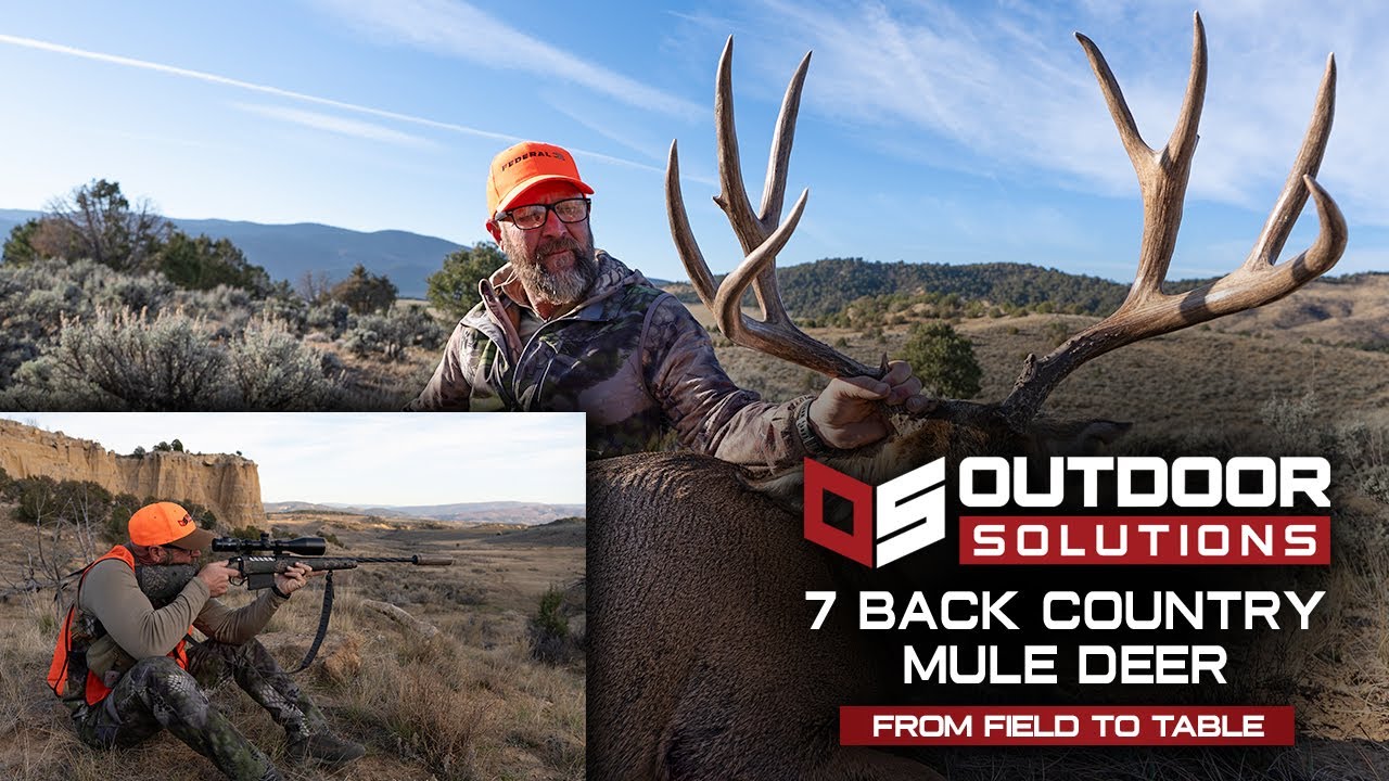 7 Back Country Mule Deer (Seekins PH3 Field Test) - YouTube