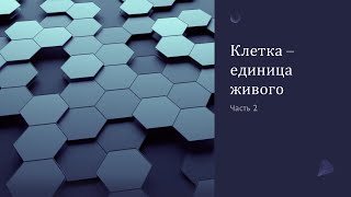 картинка: Клетка - единица живого. Часть 2