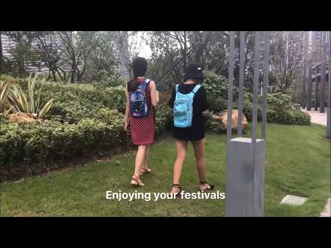 Music Festival and