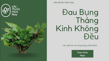 Chia Sẻ Công Dụng Hữu Ích Từ Cây Ngải Cứu Tím: Những Bài Thuốc Hữu Ích .