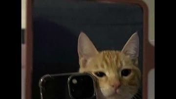 NUMBER - TWERKNATION28