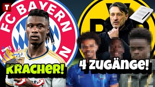 ABSURDES BAYERN-GEDANKENSPIEL um REAL-STAR! 4 ZUGÄNGE beim BVB! Fußball News Transfer | Tobibo