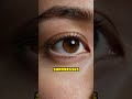 Your Eyes Create Invisible Gaps in Reality