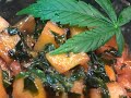 Каннабис деликатесы. Как приготовить листья марихуаны быстро и просто. 6 рецептов.