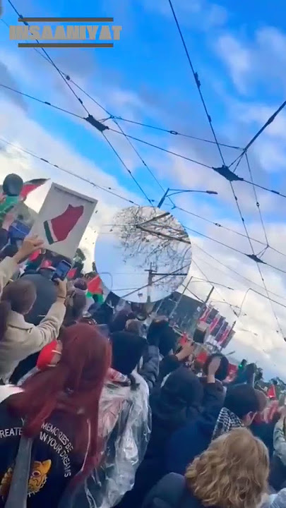 Palestine’s Light Never Truly Fades