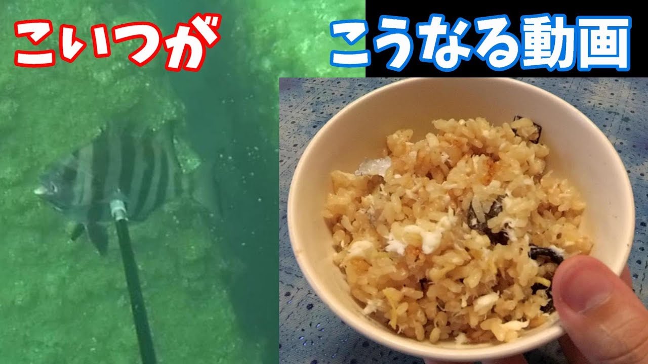 魚突き イシダイで鯛めし作ると最高だった Youtube 魚突き イシダイで鯛めし作ると最高だった Youtube
