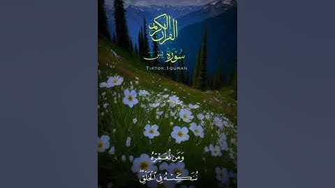 #ما تيسر من سورة يس القارئ احمد النفيس 🤍🤲♥