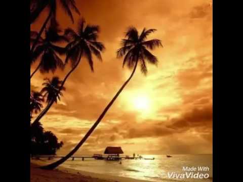 شوق وحنين بعيدين كلمات حاجم ألحان طارق نوارة غناء احمد رياض