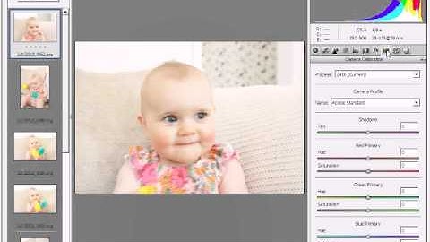 Applying DNG profiles in Adobe Bridge & Camera RAW.avi