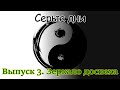 Серые дни | Выпуск 3 Зеркало доспеха