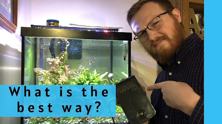 HOW TO SETUP AN AQUARIUM AIR PUMP | Is there a proper way to install an aquarium air pump?