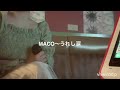MACO〜うれし涙歌ってみた。