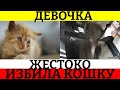 В Алматы девочка жестоко избила кошку в лифте.