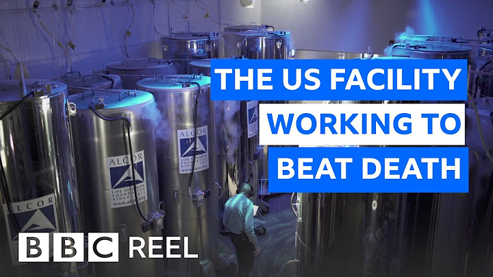 Inside the US lab freezing the dead at -196C - BBC REEL