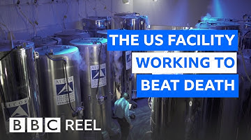 Inside the US lab freezing the dead at -196C - BBC REEL