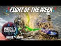 The Great British Bash Off! | BattleBots FOTW: Monsoon vs Cobalt | WC7