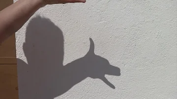 ¿Qué es un perro de sombra?