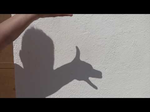Video: Cómo crear sombra para perros
