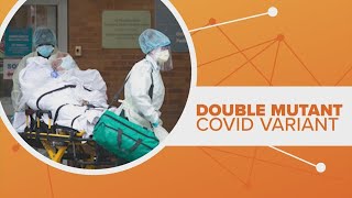 Double mutant COVID variant found in California, researchers say
