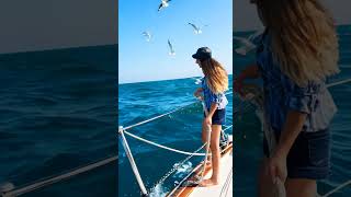 Ai Generated Art Sailing The Blue Horizon - Wan2.1 T2V-1.3B