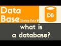 What is a Database? | Let's Learn