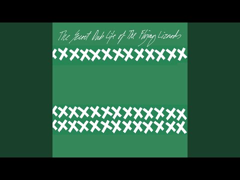 The Flying Lizards — Skin and Stone