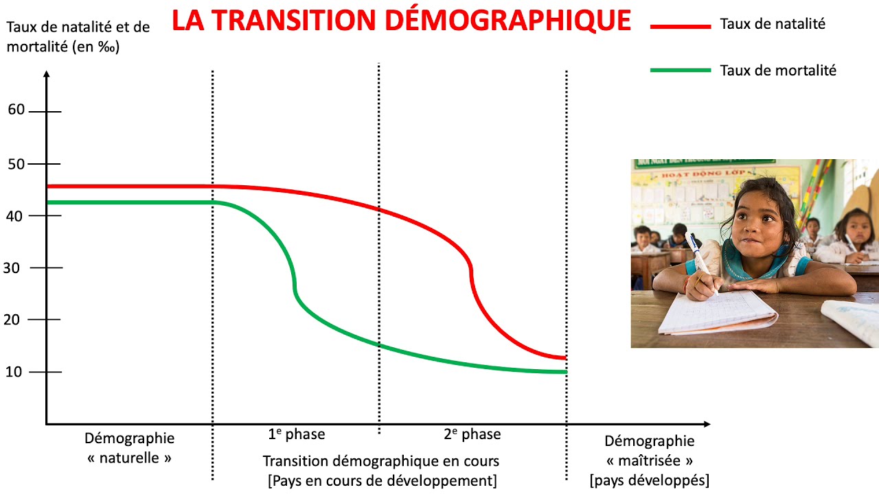 La transition démographique