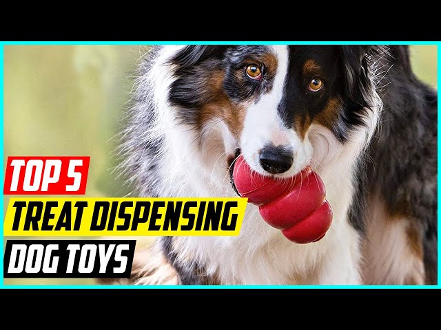 The 9 Best Treat-Dispensing Toys for Dogs