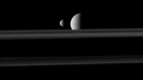 Before a Veiled Rhea