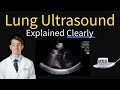 Lung ultrasound explained point of care bedside clinical