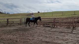 ruby offenberger class 10 y eng pleasure wt dec 4