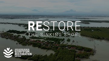 The world’s biggest island country battles coastal erosion