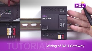 19. DALI Gateway Wiring: Advanced Lighting Control in Your Buspro System