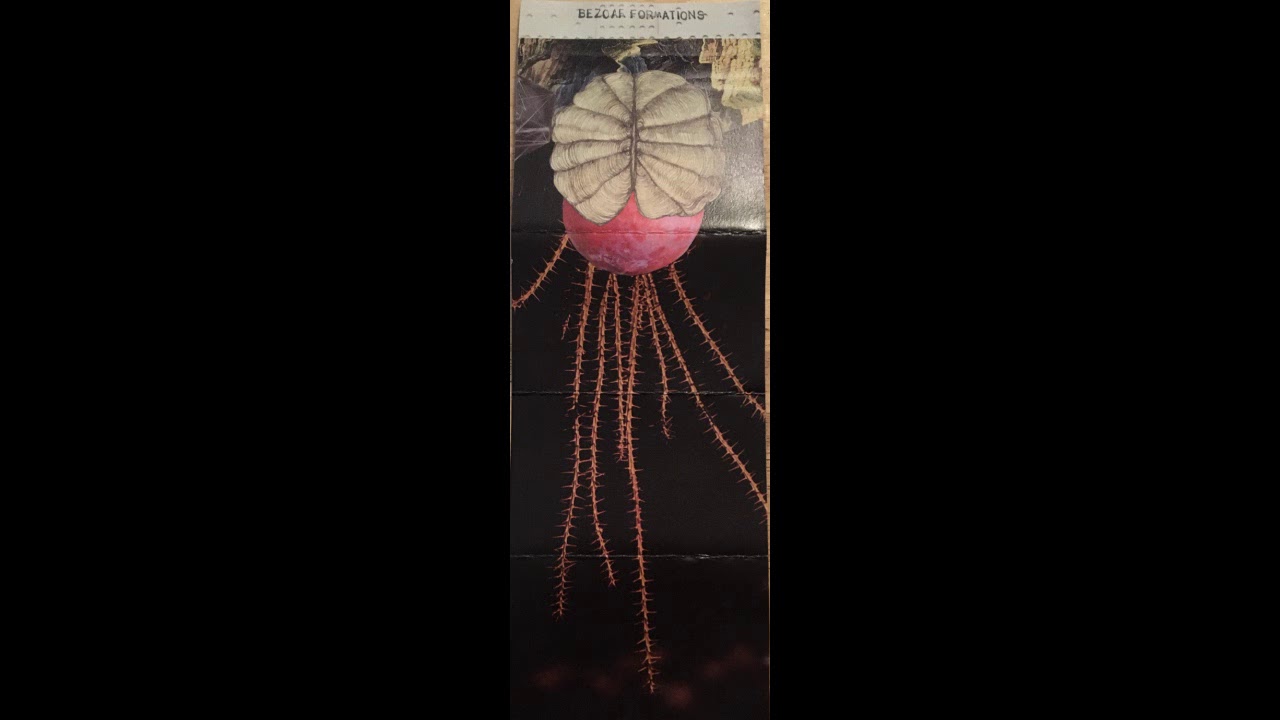 Byssus ‎– Hunting The Bitter Rose