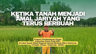 Komunitas Estate Padi BMI: Ketika Tanah Menjadi Amal Jariyah yang Terus Berbuah Komunitas Estate Padi BMI: Ketika Tanah Menjadi Amal Jariyah yang Terus Berbuah