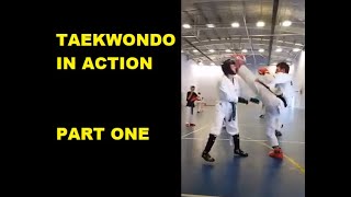 Taekwondo In Action With Sam Part 1 - Single Kicks