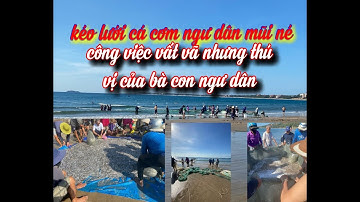 Kéo Cá Cơm Của Ngư Dân Mũi Né Phan Thiết