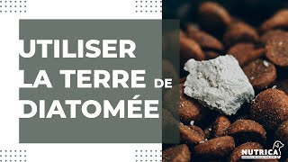 Comment utiliser la terre de diatomée pour vermifuger votre chien ?