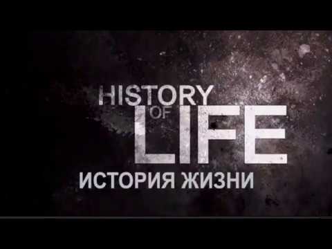 История жизни / სიცოცხლის ისტორია / History of life (2012)