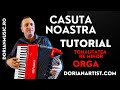 Learn to Play Keyboard & Accordion – Easy Music Lessons for Beginners